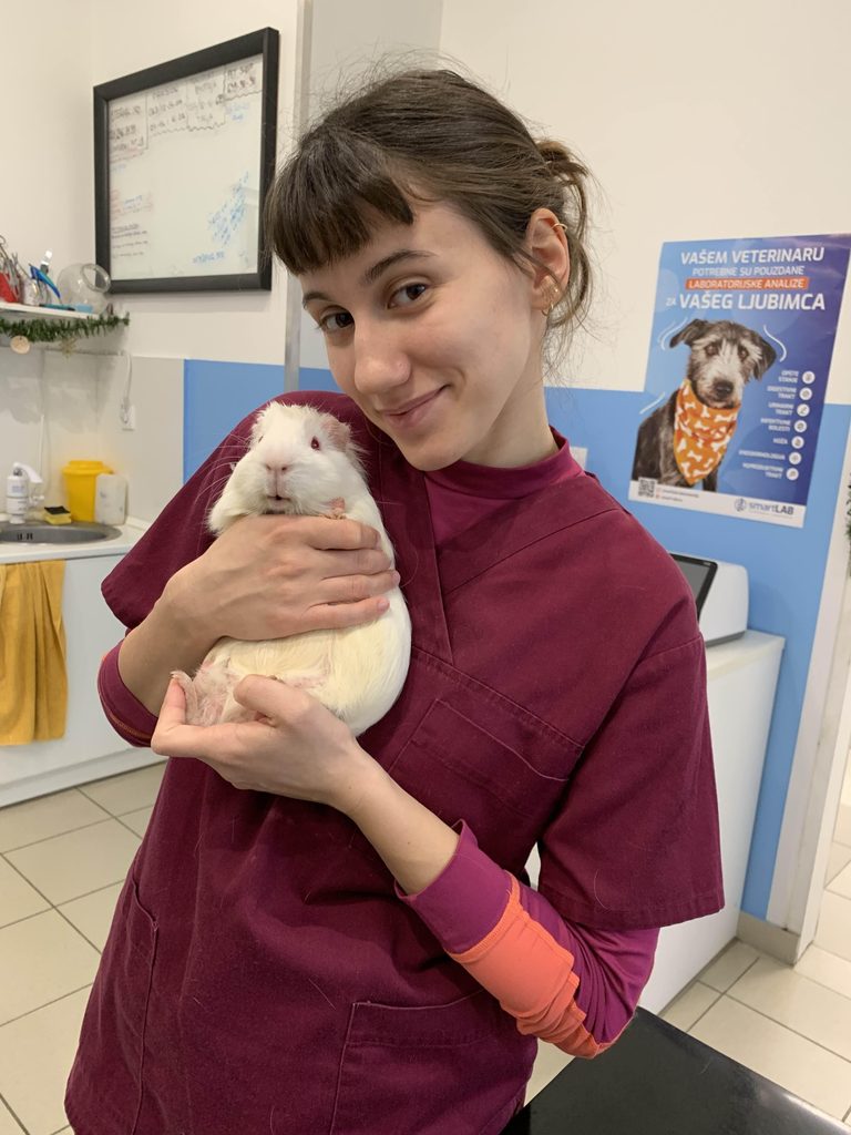 Nega i pregled, preventiva u veterinarskoj ordinaciji Darvin Podbara Salajka
