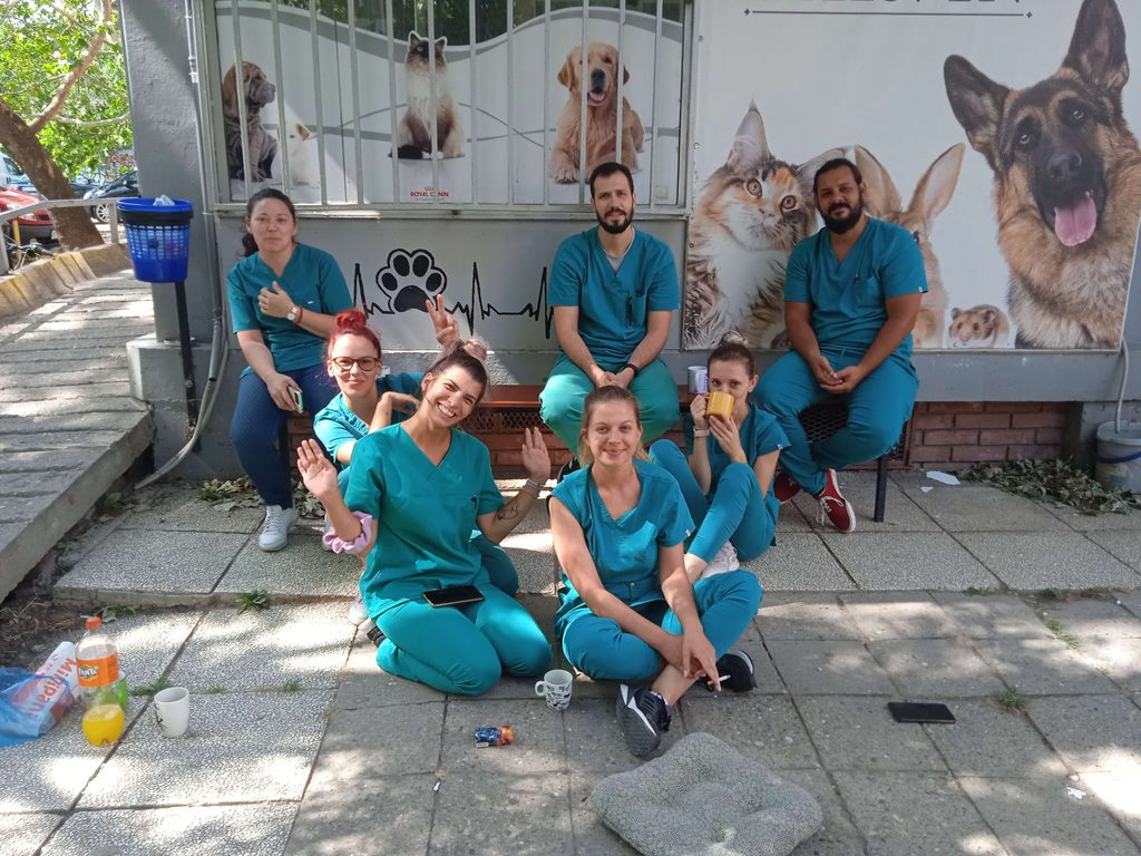 Veterinarski tim ordinacije Darvin Novi Sad spremni za prijem pacijenata