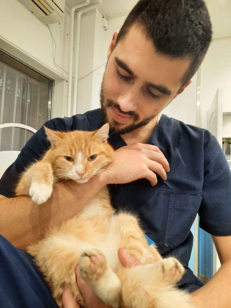 Iskusni veterinar ambulante Darvin drži mačku tokom pregleda u Novom Sadu