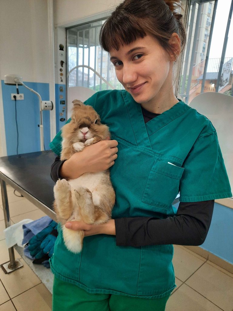 Pregled i nega kunića i malih ljubimaca u veterinarskoj ordinaciji Darvin Novi Sad